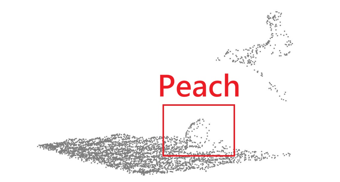 Pick Peach Point Cloud