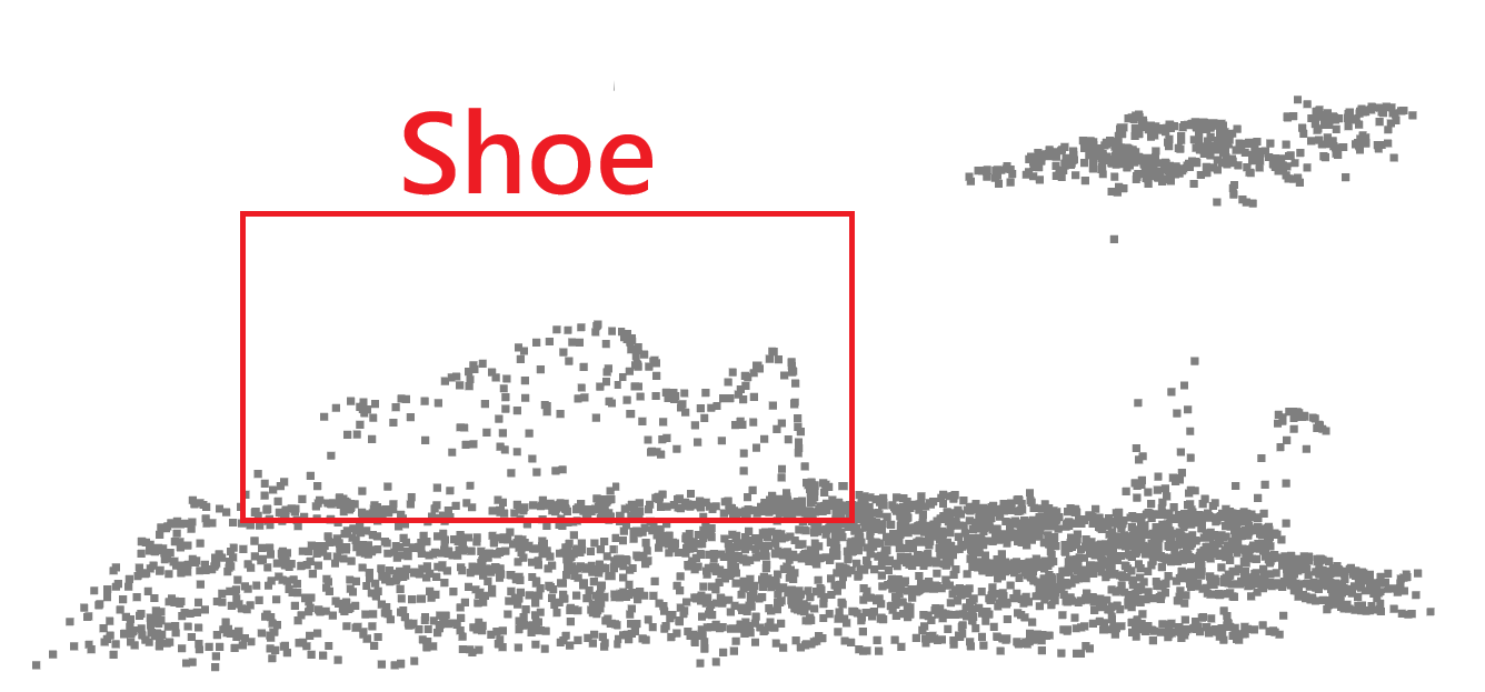 Place Shoe Point Cloud