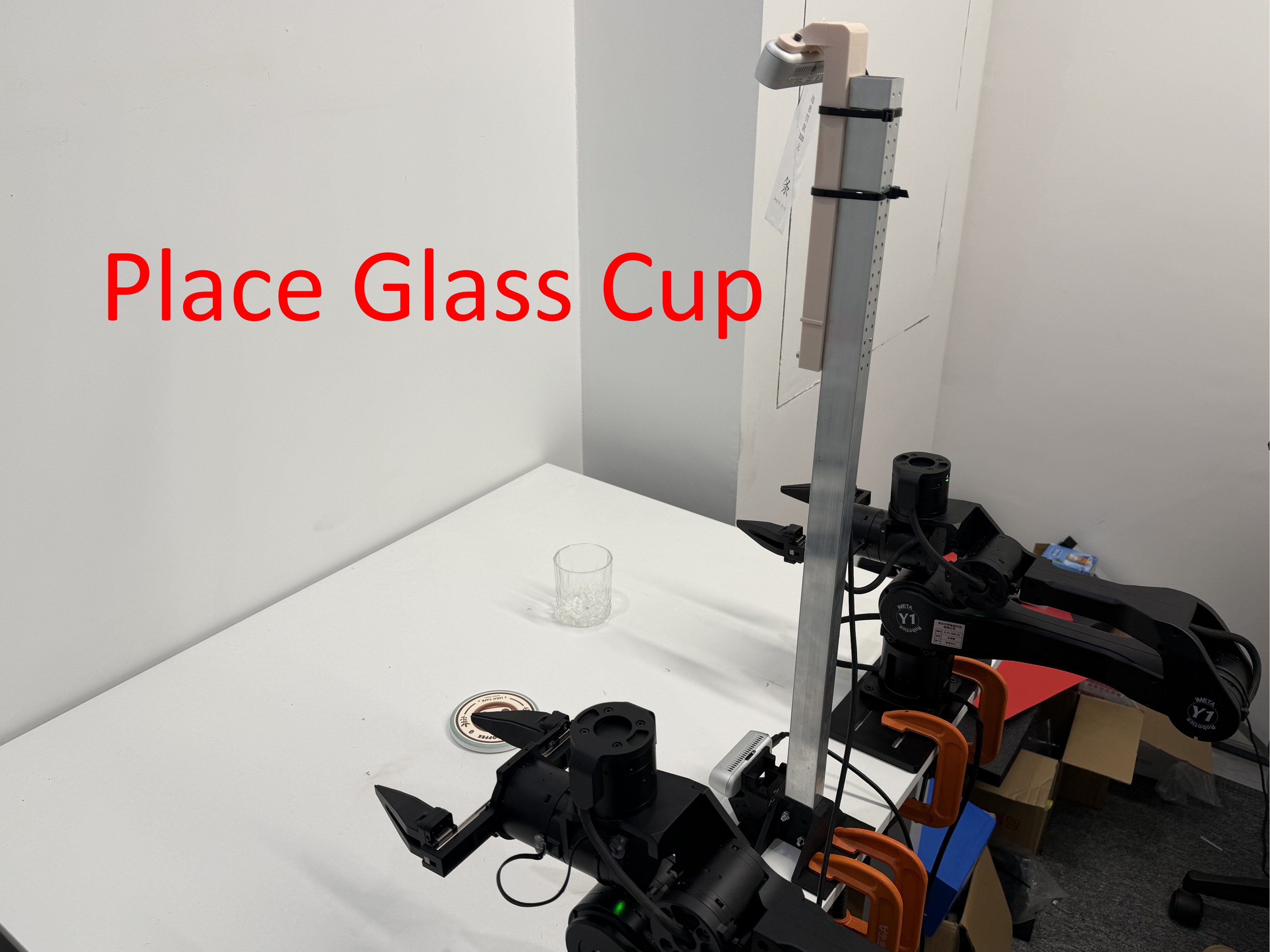 Place Glass Cup